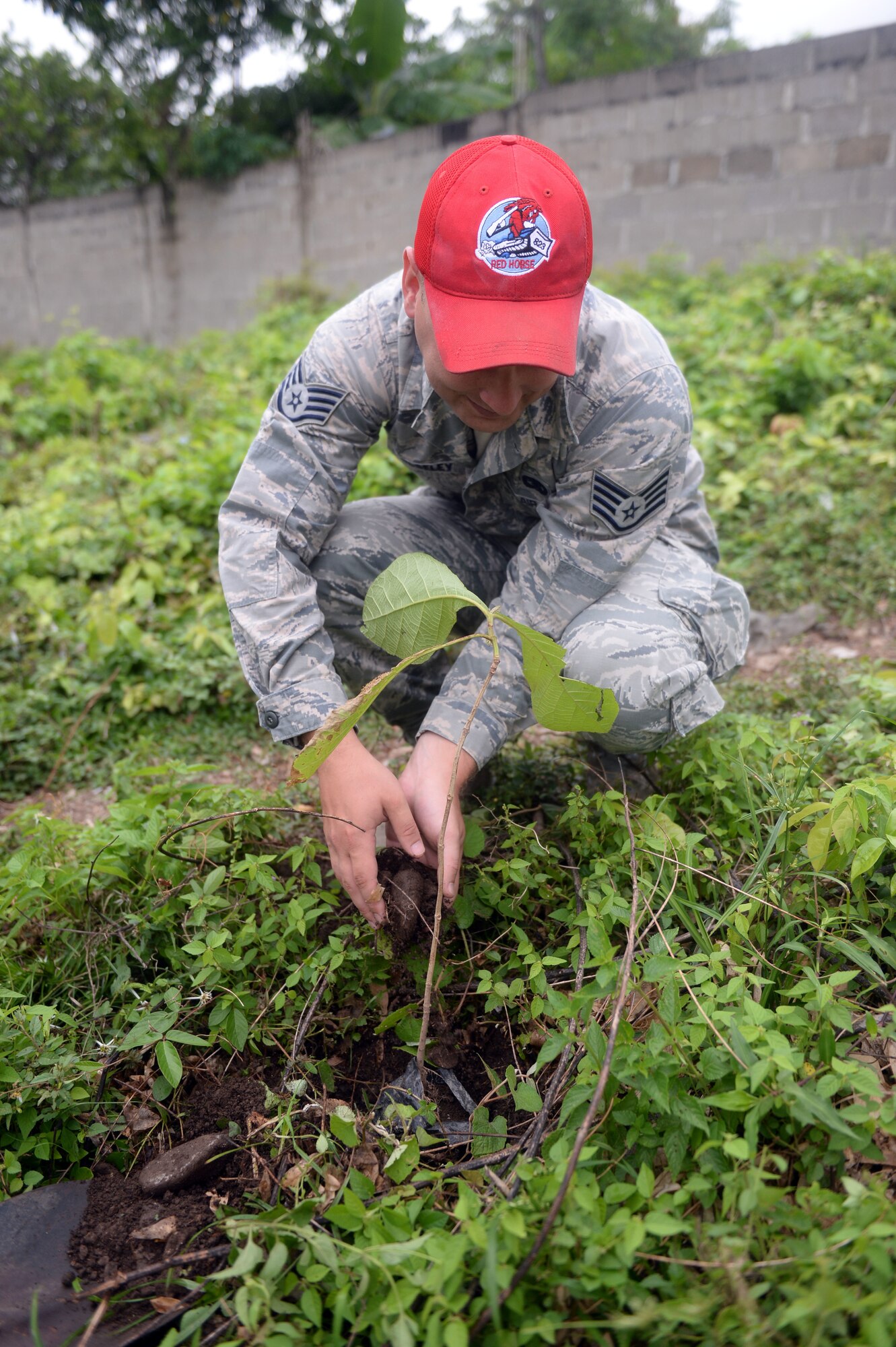 U.S. Staff Sgt. David Mosley, 823rd Expeditionary RED HORSE Squadron vehicle maintenance journeyman, out of Hurlburt Field, Fla., helps put dirt at the base of a newly planted tree during the National Tree Day celebration at Rafeal Peneda Ponce School in Trujillo, Honduras, June 19, 2015. Mosley is a member of the NEW HORIZONS Honduras 2015 training exercise which is providing support throughout the Trujillo and Tocoa regions of Honduras by building a new two-classroom schoolhouse in Ocotes Alto, drilling a well in Honduras Aguan, and proving general medical support. NEW HORIZONS was launched in the 1980s and is an annual joint humanitarian assistance exercise that U.S. Southern Command conducts with a partner nation in Central America, South America or the Caribbean. The exercise improves joint training readiness of U.S. and partner nation civil engineers, medical professionals and support personnel through humanitarian assistance activities. (U.S. Air Force photo by Capt. David J. Murphy/Released)
