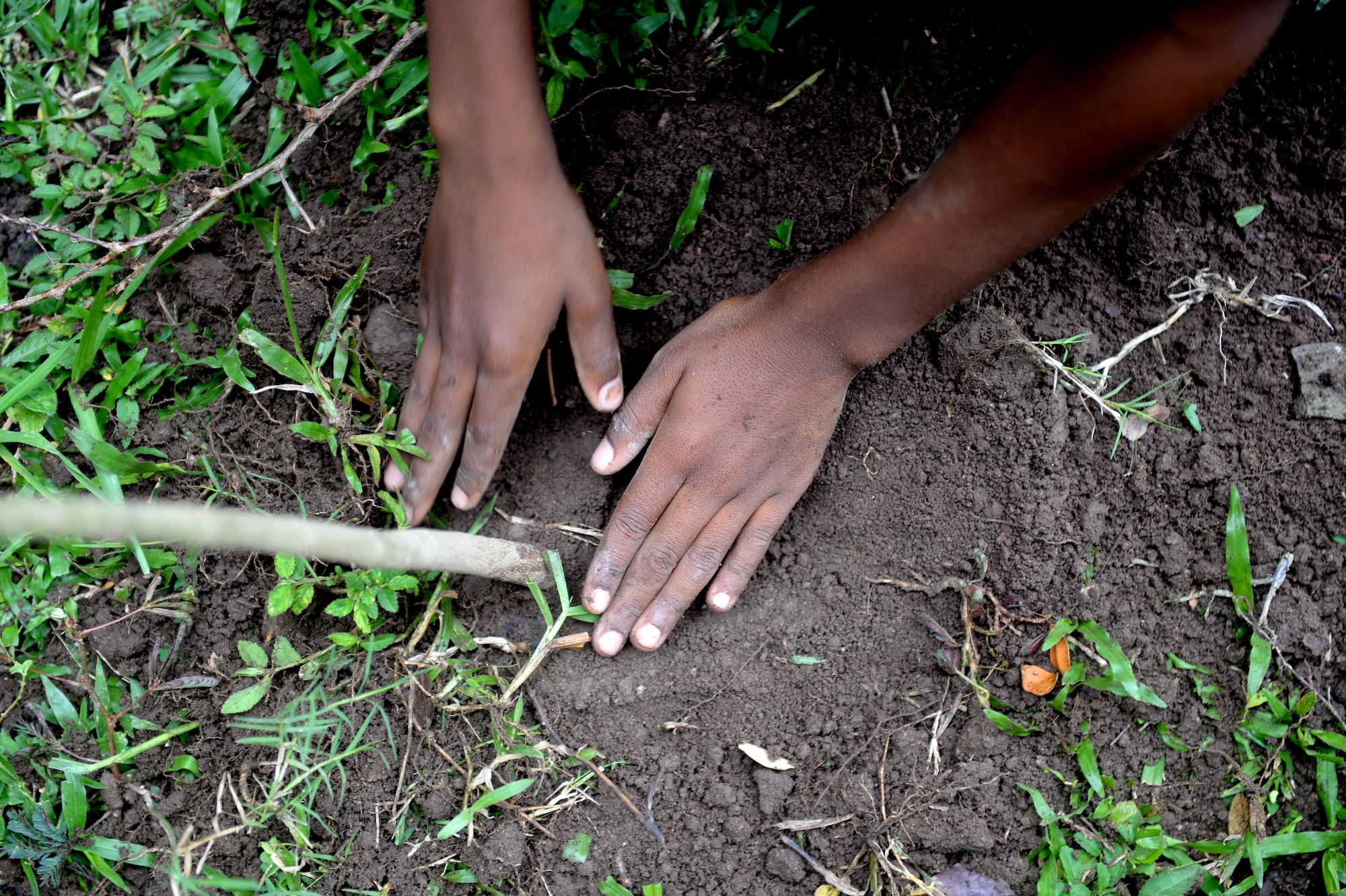 A student pats the dirt around a tree during the National Tree Day celebration at Rafeal Peneda Ponce School in Trujillo, Honduras, June 19, 2015. NEW HORIZONS Honduras 2015 personnel were at the event in between providing support throughout the Trujillo and Tocoa regions of Honduras by building a new two-classroom schoolhouse in Ocotes Alto, drilling a well in Honduras Aguan, and proving general medical support. NEW HORIZONS was launched in the 1980s and is an annual joint humanitarian assistance exercise that U.S. Southern Command conducts with a partner nation in Central America, South America or the Caribbean. The exercise improves joint training readiness of U.S. and partner nation civil engineers, medical professionals and support personnel through humanitarian assistance activities. (U.S. Air Force photo by Capt. David J. Murphy/Released)