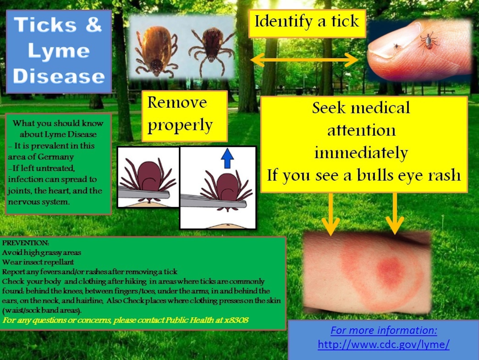 Lyme disease is an infection transmitted by the bite of certain, very small, infected ticks. Contact the 52nd Aerospace Medicine Squadron Public Health Office at DSN: 452-8308 or Commercial 0656561-8308 for questions and testing. (Courtesy photo)