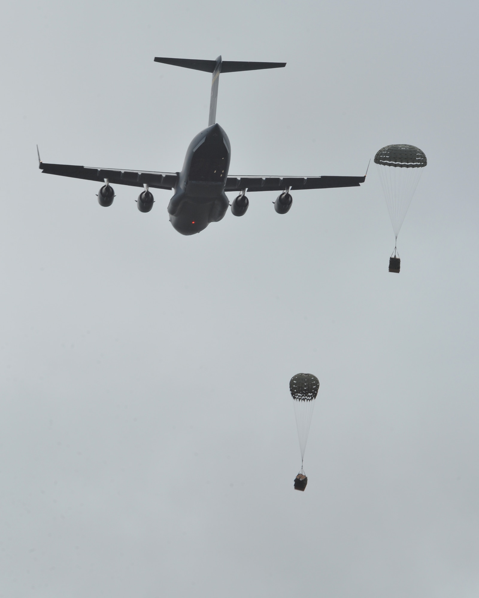 A C-17 Globalmaster III, from the 535th Air Lift Squadron at Joint Base Pearl Harbor-Hickam, Hawaii release two combat delivery systems during an air drop on Kahuku Training Area, Hawaii, March 2, 2015.The air drop will resupply the Army’s 25th Infantry Division during exercise Lightning Forge. (U.S. Air Force photo by Tech. Sgt. Aaron Oelrich/Released)