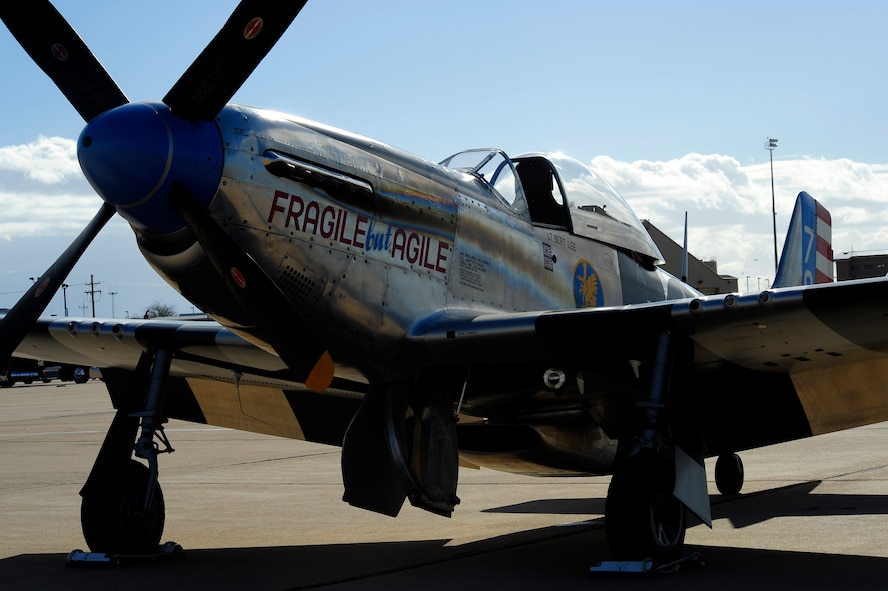 flightline p 51 850mm