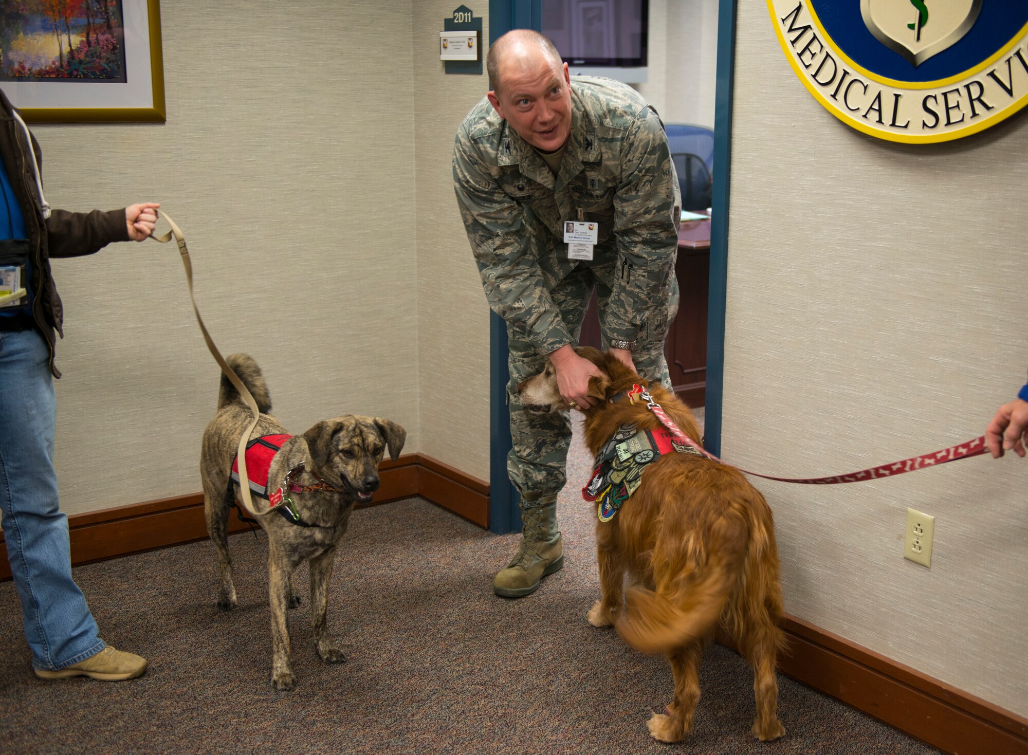 Furry Angels bring joy healing to JB MDL Air Force Medical