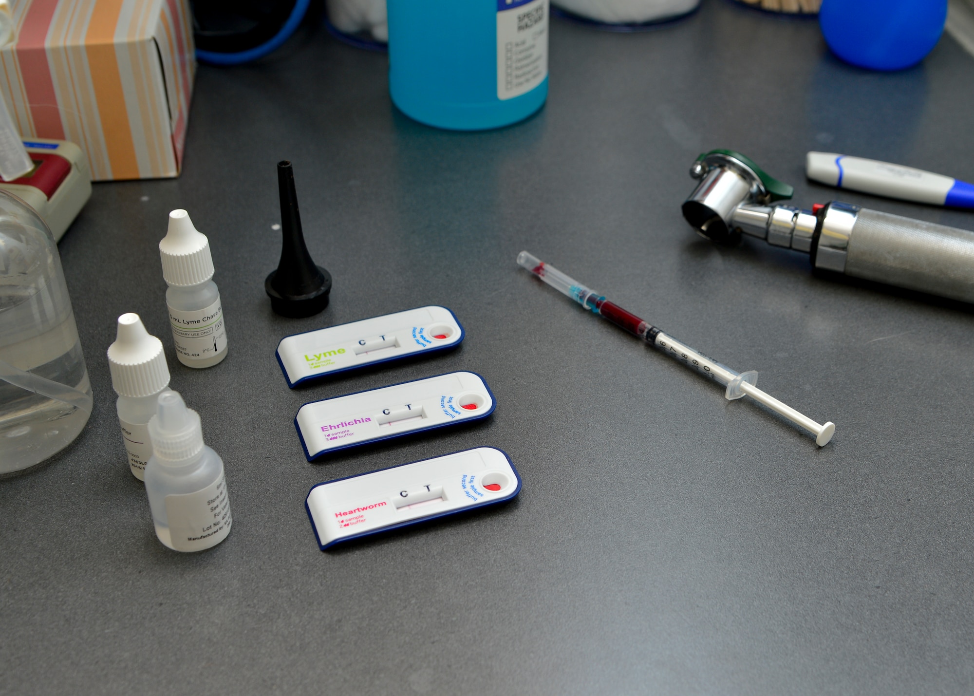 Multiple blood tests are conducted during a routine checkup Feb. 27, 2015, at the Veterinary Treatment Facility on Dover Air Force Base, Del. Some of the blood testing offered by the VTF includes heartworm, ehrlichia, and lyme disease. (U.S. Air Force photo/Airman 1st Class William Johnson)