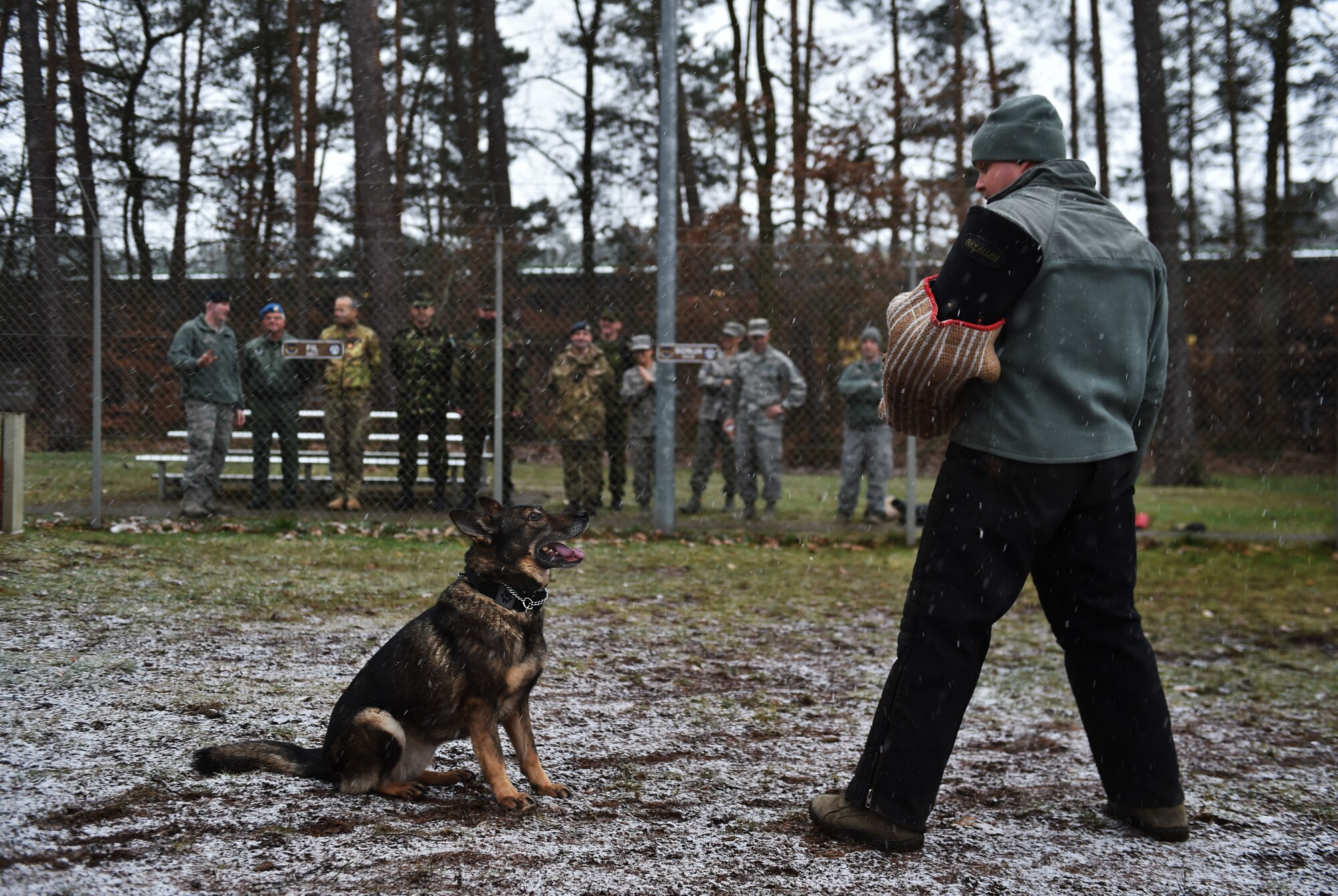A group of enlisted leaders from six different nations’ air forces throughout Europe watch a military working dog demonstration by the 86th Security Forces Squadron at Ramstein Air Base, Germany, Feb. 23, 2015. The group of enlisted leaders included the chief master sergeant of the Romanian and Estonian air forces and other leaders from the German, Italian, Slovenian and the United Kingdom’s air forces visited Ramstein before attending the Kaiserslautern Military Community First Sergeant Council's First Sergeant Symposium. (U.S. Air Force photo/Staff Sgt. Sara Keller)