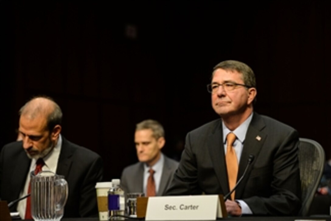 Defense Secretary Ash Carter testifies on the proposed budget for fiscal year 2016 before the Senate Armed Services Committee in Washington, D.C., March 3, 2015.