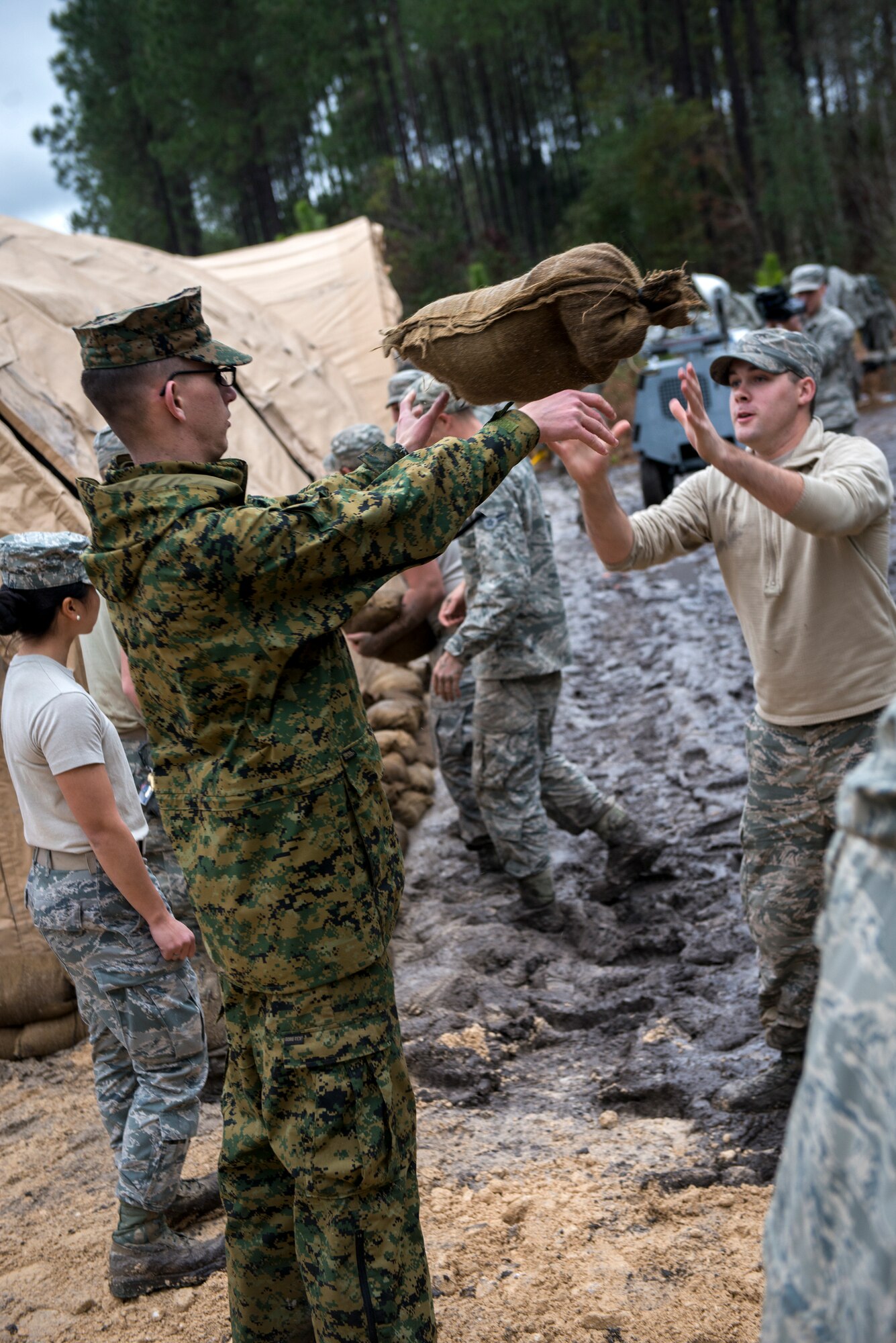 A Marine from Marine Corps Air Station Beaufort, S.C. passes a sandbag to a 23d Civil Engineer Squadron member while building a structure Feb. 24, 2015 near Statenville, Ga. It will serve as a command post for a search and recovery to team to find aircraft parts following an accident involving an F/A18-D Hornet assigned to MCAS Beaufort. (U.S. Air Force photo by Senior Airman Sandra Marrero/Released)
