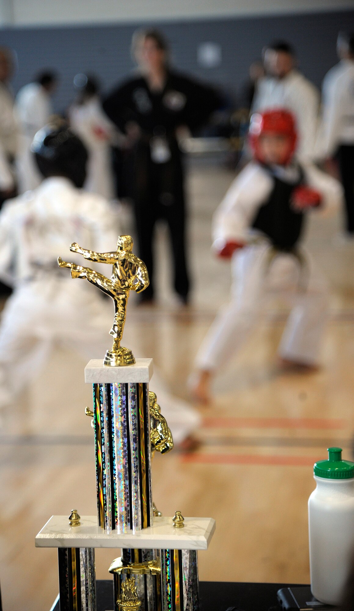 A trophy is on display as two competitors spar during the 15th annual U.S. Air Forces in Europe martial arts tournament at Ramstein Air Base, Germany, Feb. 28, 2015. More than 200 students from martial arts schools around Europe competed in the tournament. (U.S. Air Force photo/Senior Airman Timothy Moore)