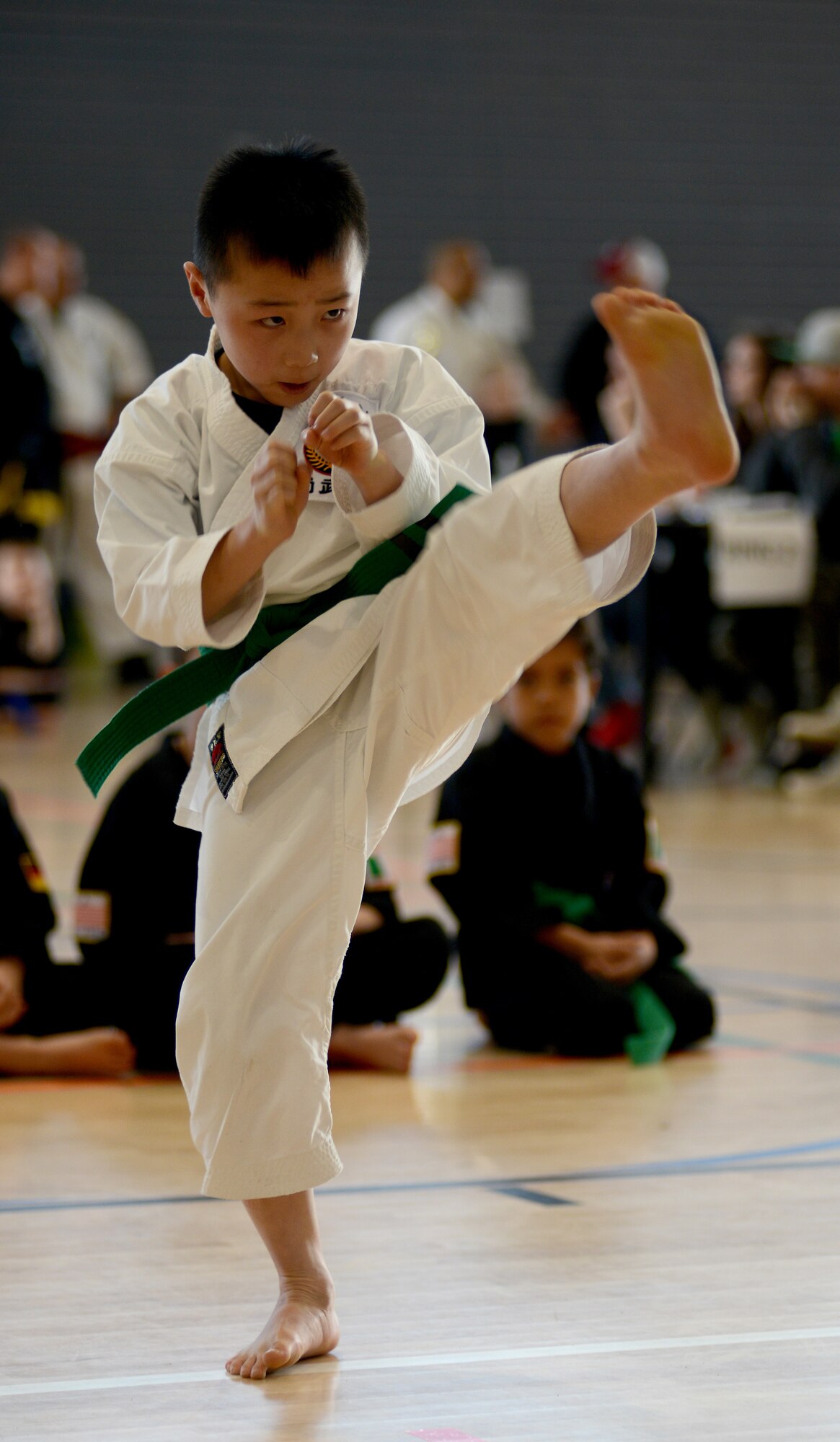 Jet Hazen executes a kick during the 15th annual U.S. Air Forces in Europe martial arts tournament at Ramstein Air Base, Germany, Feb. 28, 2015. The event was divided into two main categories: forms and sparring. More than 200 students from five martial arts schools participated in the tournament. (U.S. Air Force photo/Senior Airman Timothy Moore)