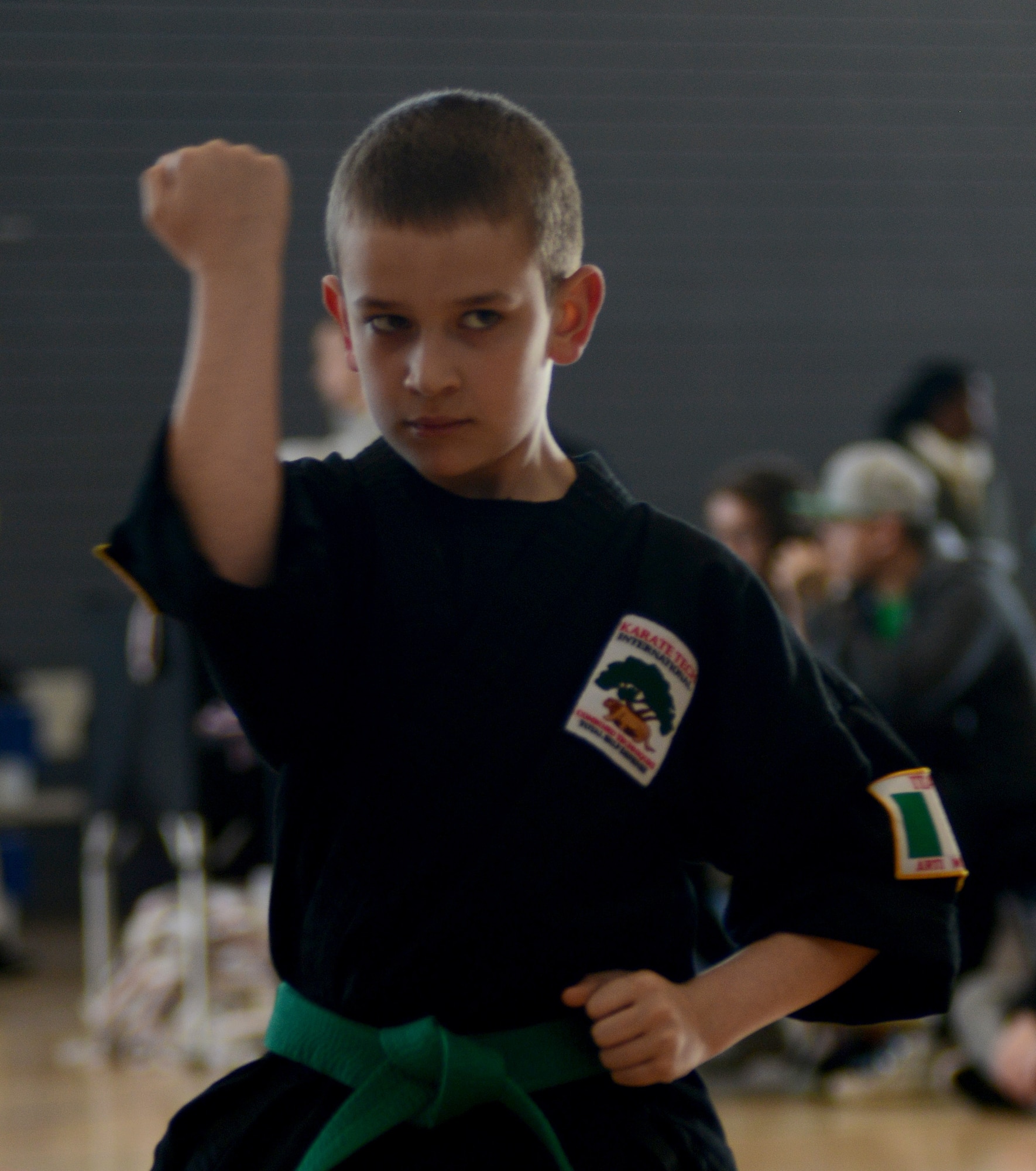 John Belcher demonstrates a stance during the 15th annual U.S. Air Forces in Europe martial arts tournament at Ramstein Air Base, Germany, Feb. 28, 2015. The event was divided into two main categories: forms and sparring. More than 200 students from five martial arts schools participated in the tournament. (U.S. Air Force photo/Senior Airman Timothy Moore)