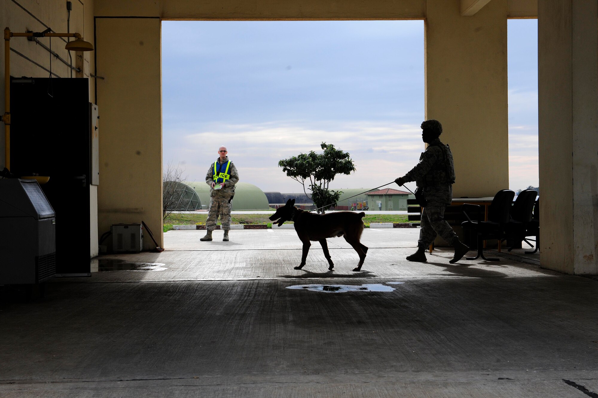Staff Sgt. Lindsay Thompson, 39th Security Forces Squadron military working dog handler, and Quiz, 39th SFS MWD, search a building for explosives during a base-wide exercise Feb. 25, 2015, at Incirlik Air Base, Turkey. All participants of the exercise were observed and given feedback on their performance to enhance mission readiness in the event of a real world incident. (U.S. Air Force photo by Senior Airman Krystal Ardrey/Released)