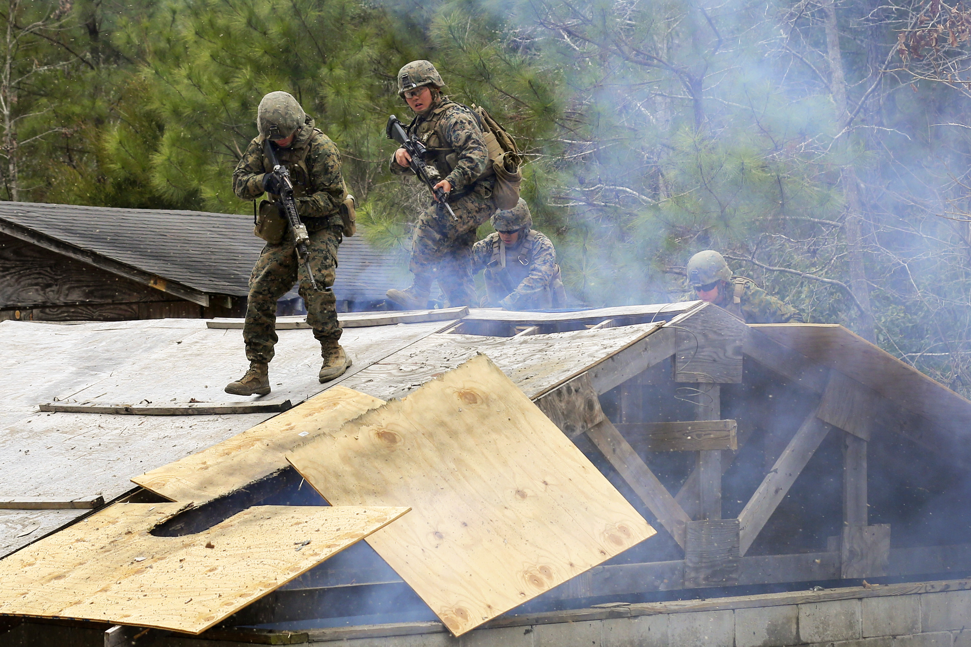 Stem camps near me image