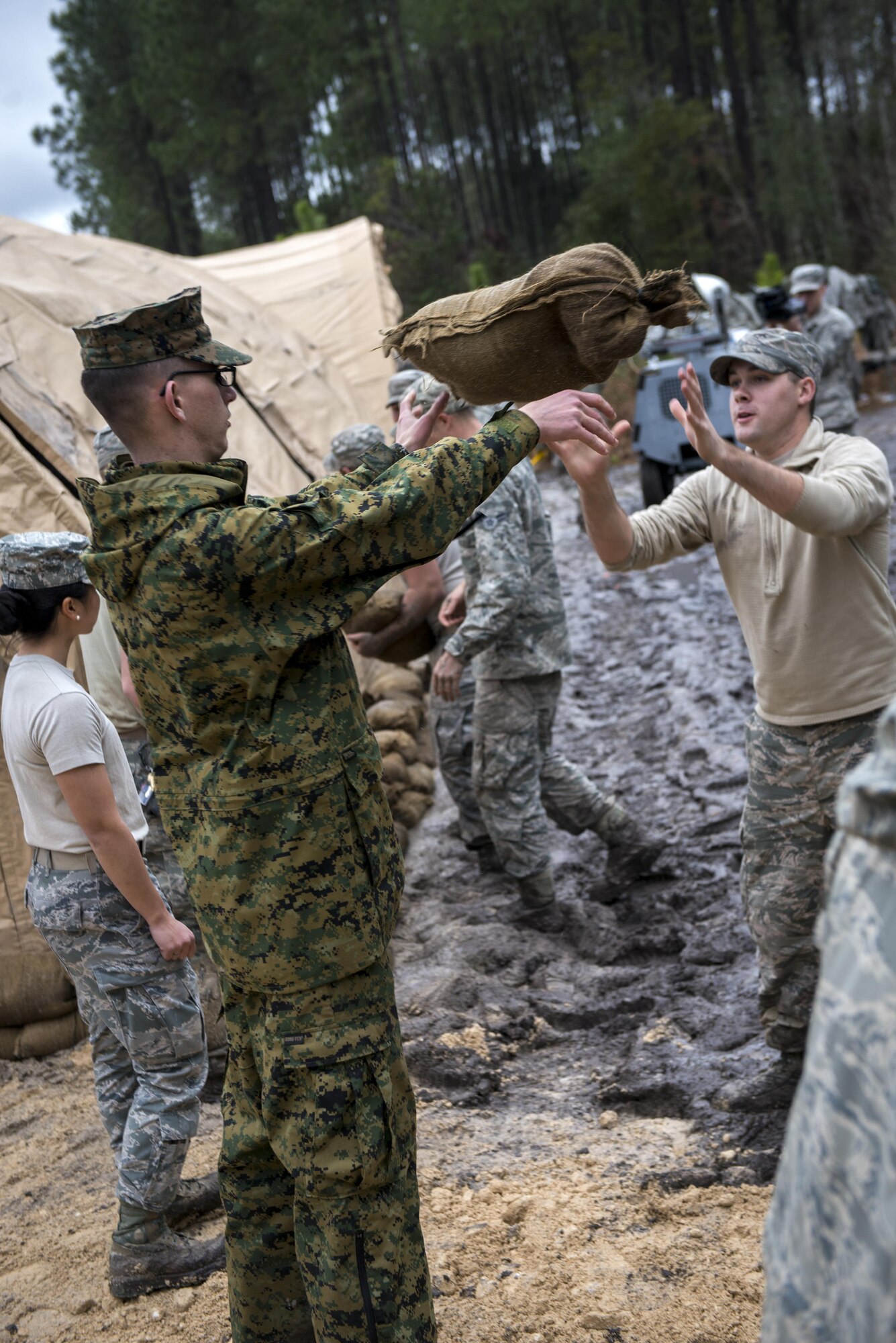 A Marine passes a sandbag to an Airman while building a structure Feb. 24, 2015, near Statenville, Ga. The structure will serve as a command post for a search and recovery to team to find aircraft parts following an accident involving an F/A18-D Hornet assigned to Marine Corps Air Station Beaufort, S.C. The Marines are assigned to MCAS Beaufort, and the Airmen are assigned to the 23rd Civil Engineer Squadron. (U.S. Air Force photo/Senior Airman Sandra Marrero)