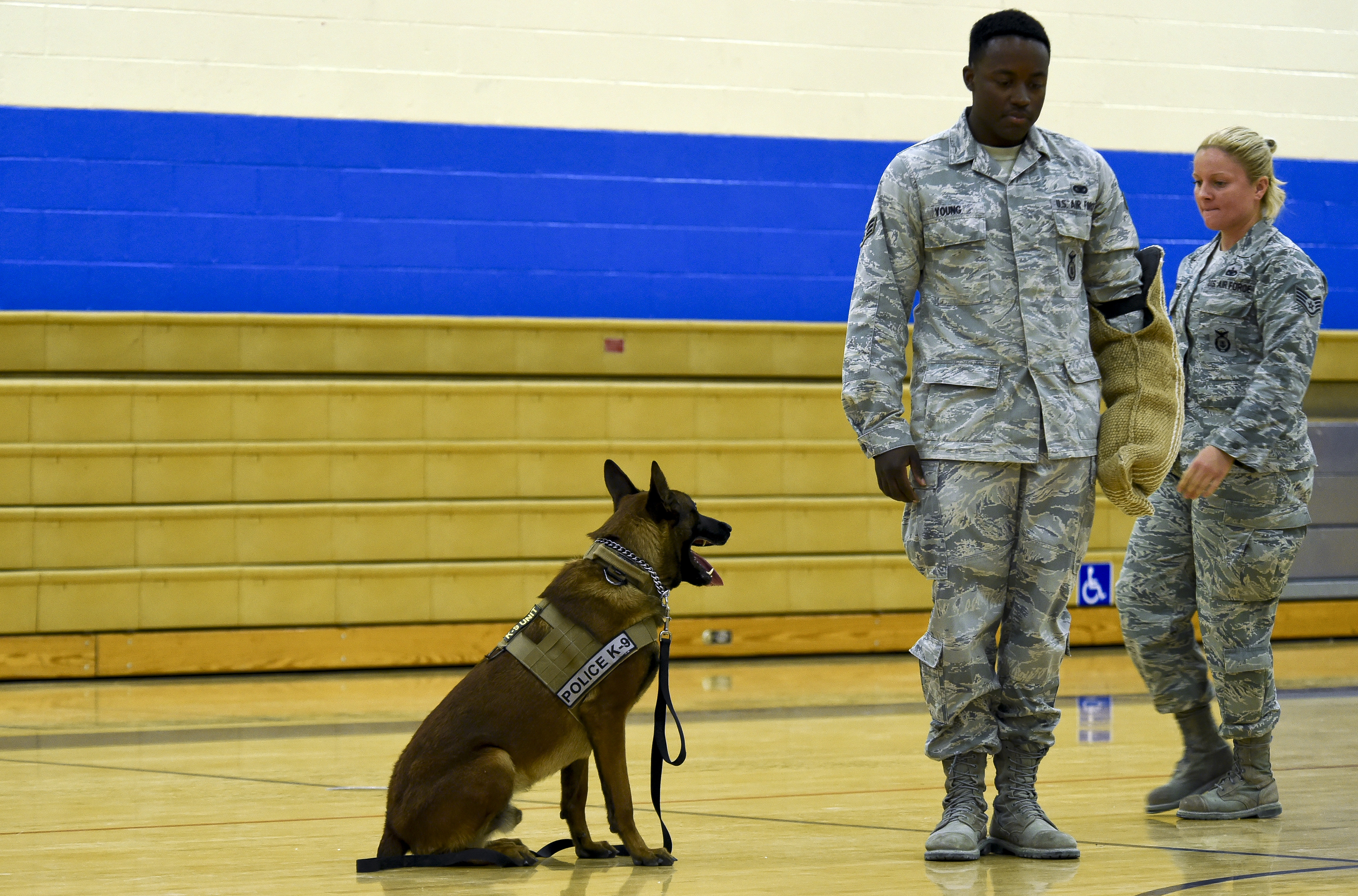 799 Sfs K9 Handlers Demonstrate Military Working Dog