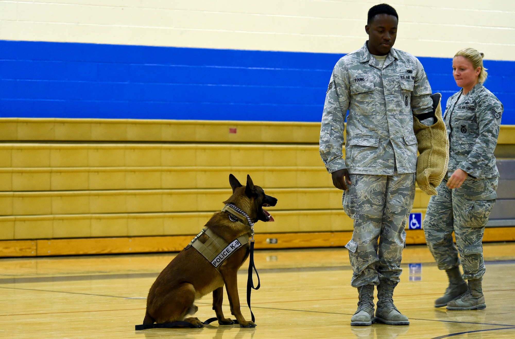 SSamuel, 799th Security Forces Squadron military working dog, immediately obeys the stop command from his handler, Staff Sgt. Anique Brassard, MWD handler, and begins to guard Senior Airman Dominick Young, who plays a suspect during a K9 demonstration March 2, 2014, inside the Indian Springs Schools gymnasium. MWDs and their handlers train together to build a close bond to better protect military personnel and equipment, detect explosives, and conduct search and rescue operations during disasters. (U.S. Air Force photo by Tech. Sgt. Shad Eidson/released)