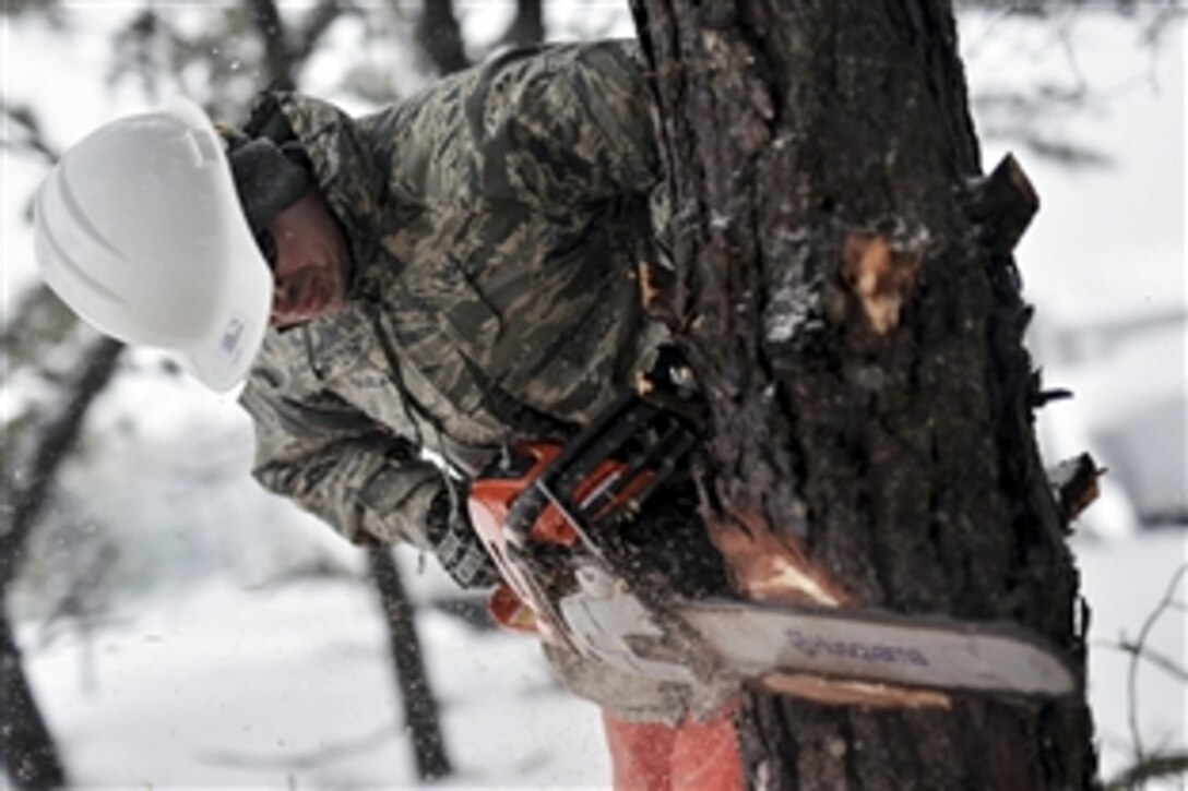 An airman trains to remove storm and wildfire debris on Francis S. Gabreski Air National Guard Base in Westhampton Beach, N.Y., March 5, 2015. The airman is assigned to the New York Air National Guard’s 106th Civil Engineering Squadron.
