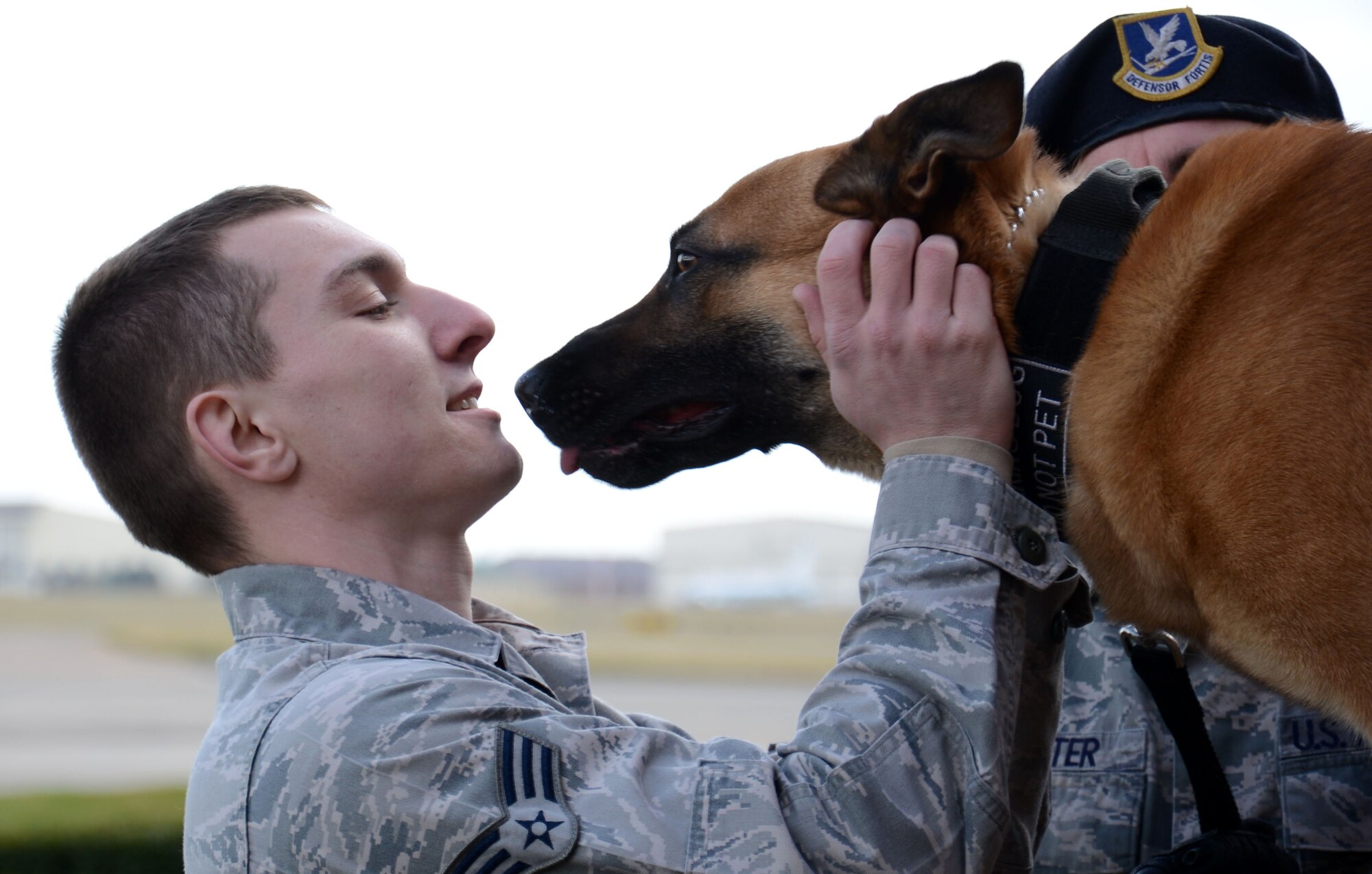 U.S. Air Force Senior Airman Daniel Caldas, 100th Security Forces Squadron Military Working Dog handler from Boston, Mass., rewards MWD Tomi following a demonstration during a Civilian Appreciation Day tour Feb. 27, 2015, on RAF Mildenhall, England. There is a strong bond between MWD and handler and both parties go through extensive training to ensure they are suitable for their job. The welfare of the dog is paramount and during demonstrations the simulated “perpetrator” must move their arm so the dog doesn’t use his whole weight to impact the arm with his jaw, resulting in neck and hip injuries for the dog over time. (U.S. Air Force photo by Gina Randall/Released)