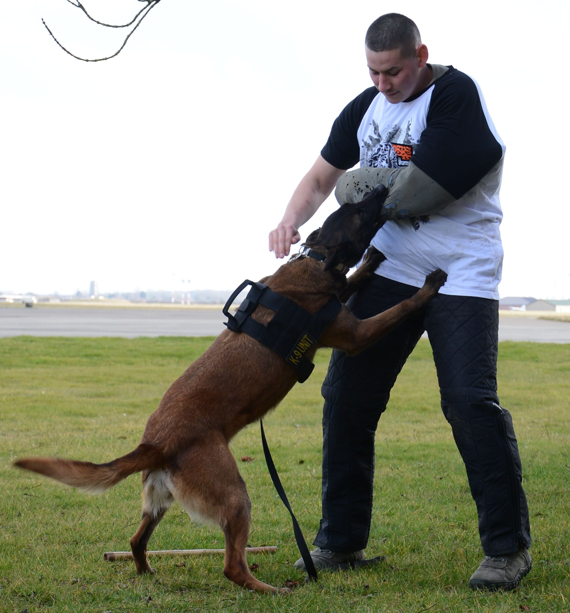 U.S. Air Force Staff Sgt. Joseph Serrano, 100th Security Forces Squadron Military Working Dog trainer from San Fernando, Calif., demonstrates the power, obedience and ability of MWD Vvonya to civilians from the 100th LRS during a Civilian Appreciation Day tour Feb. 27, 2015, on RAF Mildenhall, England. Serrano explained how the dogs are used as a deterrent during patrols and how the handler gives a verbal warning before sending the dog to restrain the perpetrator. (U.S. Air Force photo by Gina Randall/Released)