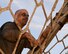 A runner climbs a rope on the final A-frame obstacle of the Defenders of Liberty Mud Run on Barksdale Air Force Base, La., March 7, 2015. The run consisted of four miles and more than 15 obstacles. (U.S. Air Force photo/Senior Airman Benjamin Raughton)