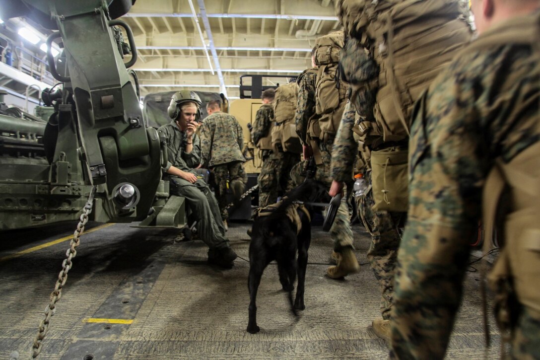 U.S. Marines with the 15th Marine Expeditionary Unit disembark the USS Essex (LHD 2) onto a landing craft, air cushion during Amphibious Squadron/Expeditionary Unit Integration Training (PMINT) off the coast of San Diego March 6, 2015. The training helped Marines and Sailors better understand what they needed to do in situations they might encounter during their upcoming deployment in the spring (U.S. Marine Corps photo by Cpl. Elize McKelvey/Released)