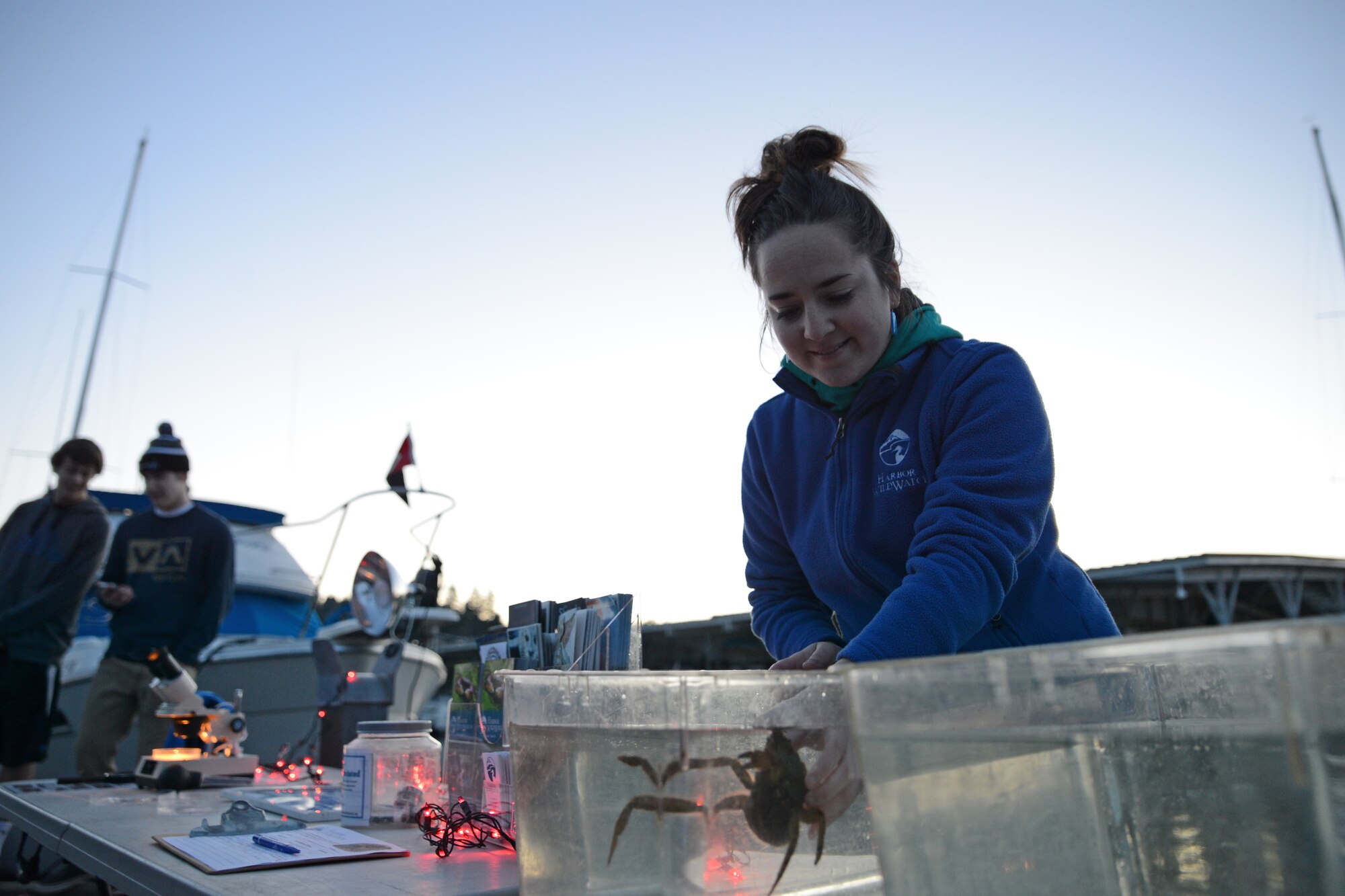 Stephanie McCaffery, Harbor WildWatch development associate, picks up a crab March 7, 2015, during Pier into the Night at Gig Harbor, Wash. The event also had tables with various plants and sea animals to give attendants a more hands-on experience. (U.S. Air Force photo/Airman 1st Class Keoni Chavarria)