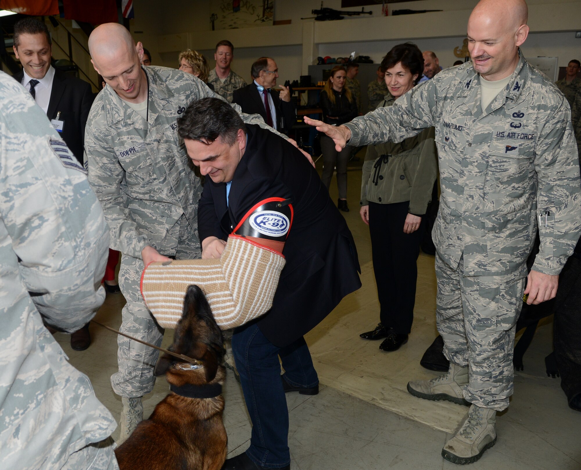 A NATO parliamentary assembly member tests a K-9 bite glove during a base tour March 11, 2015, at Incirlik Air Base, Turkey. Members from the 39th Civil Engineer Squadron and the 39th Security Forces Squadron demonstrated several of their assets during the NATO tour. (U.S. Air Force photo by Staff Sgt. Caleb Pierce/Released)