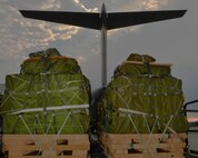 Combat delivery systems sit on the flightline on Joint Base Pearl Harbor-Hickam, Hawaii, Feb. 27, 2015. The combat delivery systems will be loaded on to a C-17 Globelmaster III from the 535th Airlift Squadron and airdropped to the 25th Infantry Division in support of Army Exercise Lightning Forge. (U.S. Air Force photo by Tech. Sgt. Aaron Oelrich/Released)