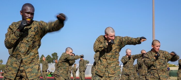 Recruits of India Company, 3rd Recruit Training Battalion, perform a lead hand punch during the Marine Corps Martial Arts Program test at Marine Corps Recruit Depot San Diego, Feb. 18.  Recruits were required to show confidence and no hesitation in the execution of a technique or the instructor would make them try again individually. If unsuccessful, he would receive an “X” on his score card, indicating he failed the technique.