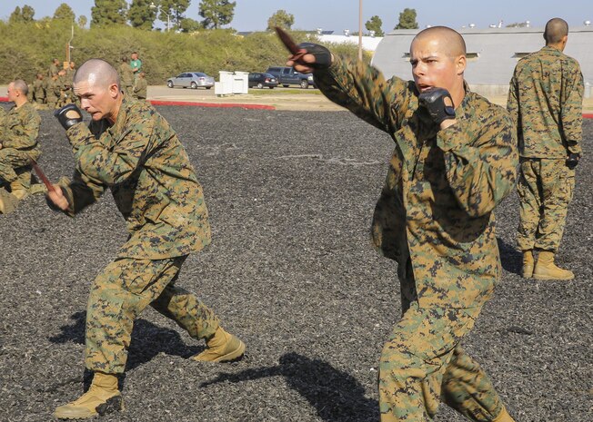 Recruits of India Company, 3rd Recruit Training Battalion, perform a vertical thrust during the Marine Corps Martial Arts Program test at Marine Corps Recruit Depot San Diego, Feb. 18.  After successfully completing the test, recruits earned a tan belt, the first belt level of MCMAP.