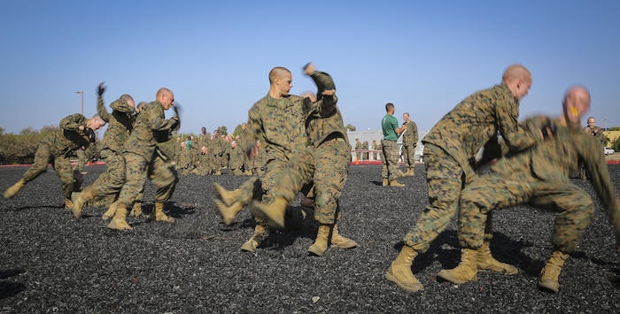 Recruits of India Company, 3rd Recruit Training Battalion, perform a counter to a rear bearhug during the Marine Corps Martial Arts Program test at Marine Corps Recruit Depot San Diego, Feb. 18.  The purpose of the MCMAP test is to ensure recruits retain the martial arts training they received over the course of recruit training.