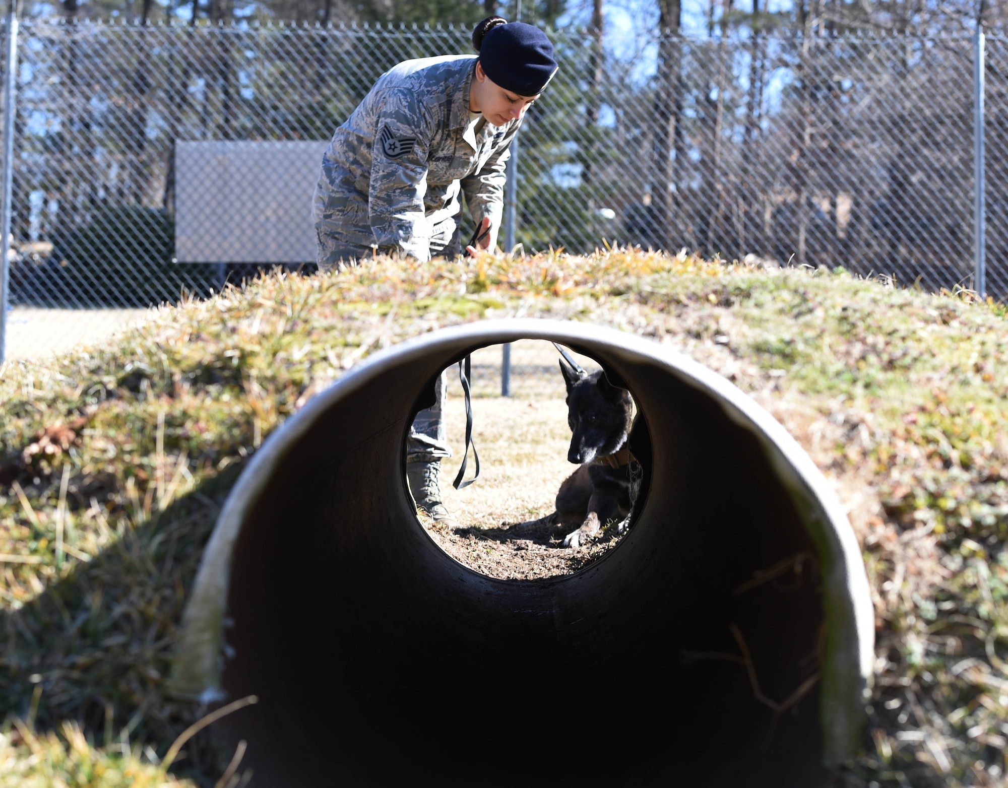 Staff Sgt. Monica Bizallion, 11th Security Forces Support Squadron military working dog handler, trains her military working dog, Nirvana, to complete the tunnel of the MWD obstacle course at Joint Base Andrews, Md., Mar. 12, 2015. Completing the obstacles course is part of the training MWDs are put through to better utilize them in the field. (U.S. Air Force photo/Airman 1st Class Joshua R. M. Dewberry)