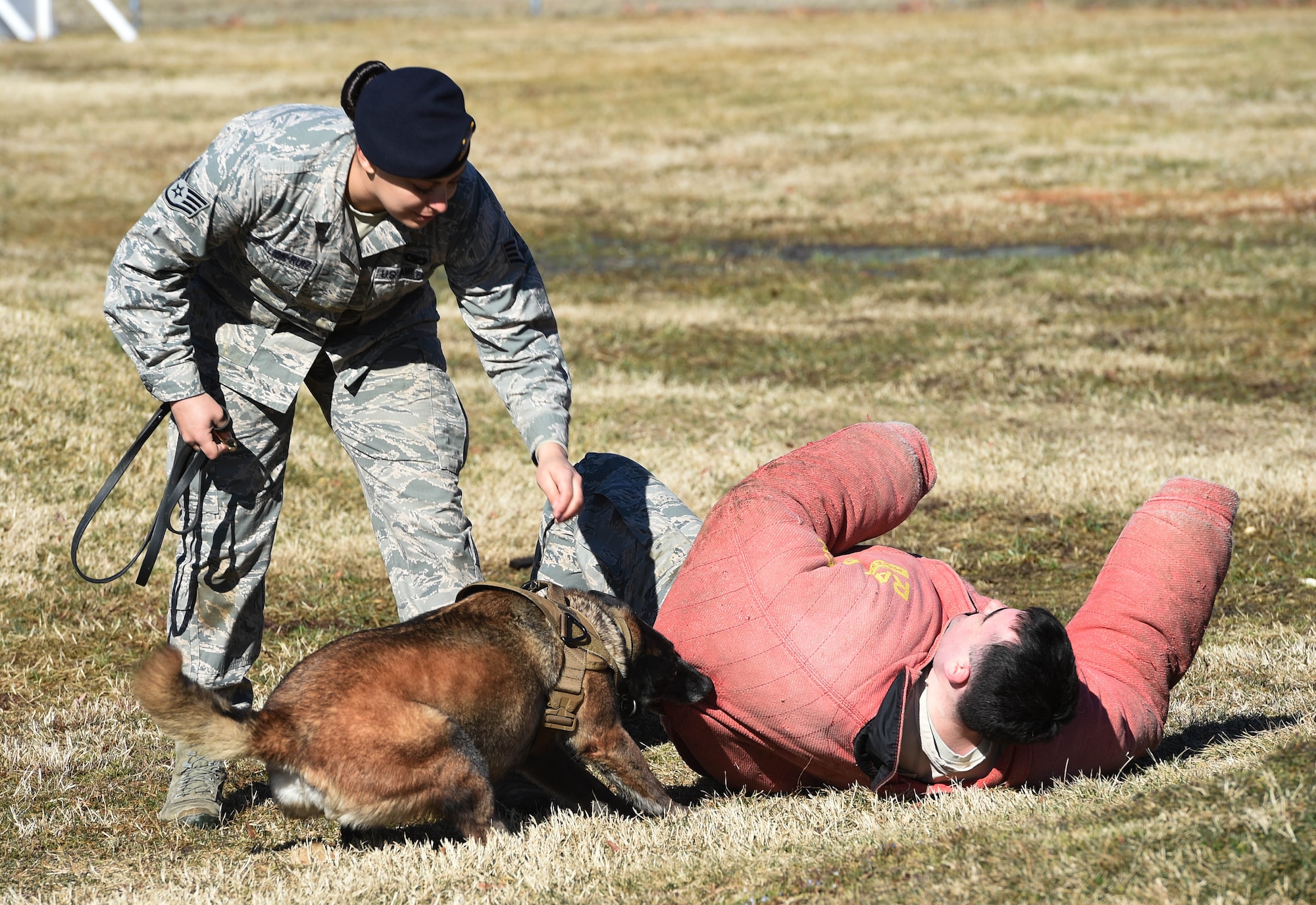Staff Sgt. Monica Bizallion, 11th Security Forces Support Squadron military working dog handler, commands her military working dog, Nirvana, to attack the “suspect”, Staff Sgt. Mark Winning, 11th SSPTS military working dog handler, at Joint Base Andrews, Md., Mar. 12, 2015. Attacking perpetrators is part of the MWD’s training to help protect Andrews’ residents and missions. (U.S. Air Force photo/Airman 1st Class Joshua R. M. Dewberry)