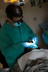 U.S. Air Force Capt. (Dr.) Jason Chong, 23d Aerospace Medicine Squadron general dentist, performs a tooth restoration on a patient March 12, 2015, at Moody Air Force Base, Ga. Moody’s dental clinic provides many services to personnel, from routine checkups to root canals and fillings. (U.S. Air Force photo by Airman 1st Class Dillian Bamman/Released)