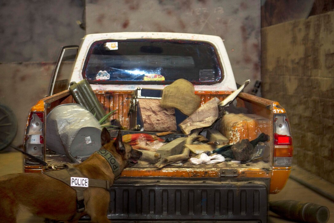 Air Force military working dog Sonya searches a vehicle for simulated explosives during modern army combatives program training on Joint Base McGuire-Dix-Lakehurst, N.J., March 11, 2015. Sonya is assigned to the 87th Security Forces Squadron.