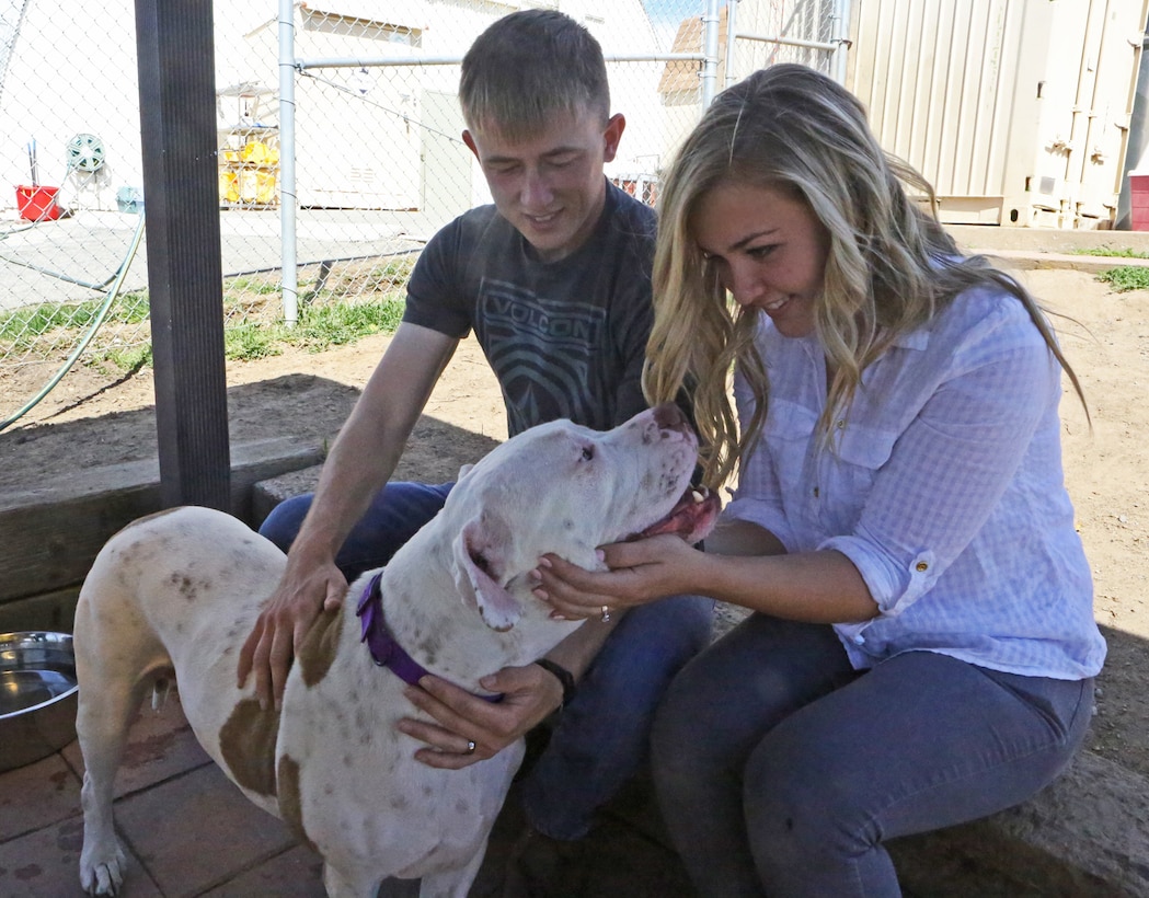 Lance Cpl. Dakota Bracken and wife Lauren adopt Rambo, a four-year-old American Bulldog during the St. Patrick’s Day Lucky Adoption Event, March 14 at the Camp Pendleton Animal Shelter. With events like the St. Patrick’s Day Lucky Adoption Event, the base shelter hopes to promote pet adoption by reducing normal adoption fees from $110 for dogs and $85 for cats to a cheaper amount which the adopters randomly draw from a hat. The fees are inclusive of neutering, a rabies vaccine, tracking microchip, a distemper vaccine and flea control. 