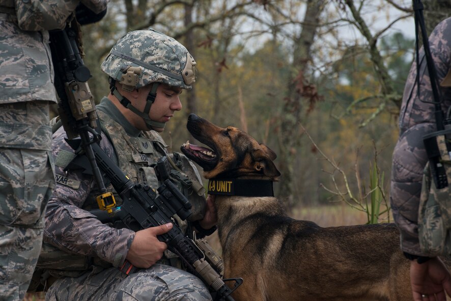 U.S. Air Force Staff Sgt. Andres Tovar, 824th Base Defense Group military working dog handler, takes a moment to pet MWD Diro during a mission readiness exercise March 12, 2015, at Camp Blanding, Fla. The 820th Base Defense Group is comprised of 12 Air Force specialty codes to allow it to be self-sustaining. (U.S. Air Force Photo by Senior Airman Ryan Callaghan/Released)
