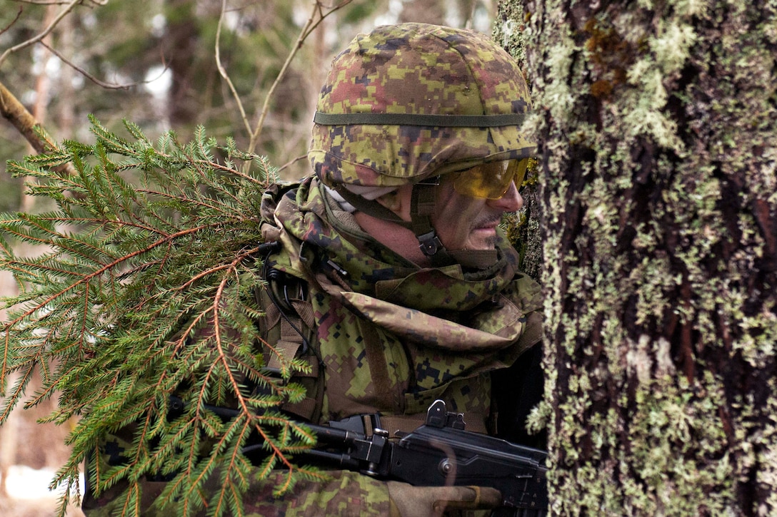 An Estonian soldier awaits the arrival of U.S. troops during combined training as part of Operation Atlantic Resolve in Rabassare, Estonia, March 7, 2015. The U.S. soldiers are assigned to 3rd Squadron, 2nd Cavalry Regiment. U.S. Army Europe led the exercise which takes place across Estonia, Latvia, Lithuania and Poland. Operation Atlantic Resolve is designed to reassure NATO allies and partners of America's dedication to enduring peace and stability in the region.