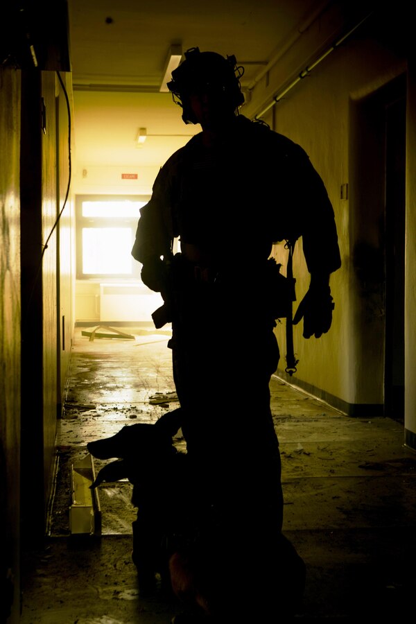 A dog handler with U.S. Army Special Forces clears a building during a close-quarters battle demonstration for Marines with Special-Purpose Marine Air-Ground Task Force Crisis Response-Africa in Baumholder, Germany, March 9, 2015. The use of military dogs is an efficient way to detect hazardous materials and locate individuals within a structure. (U.S. Marine Corps photo by Sgt. Paul Peterson/Released)