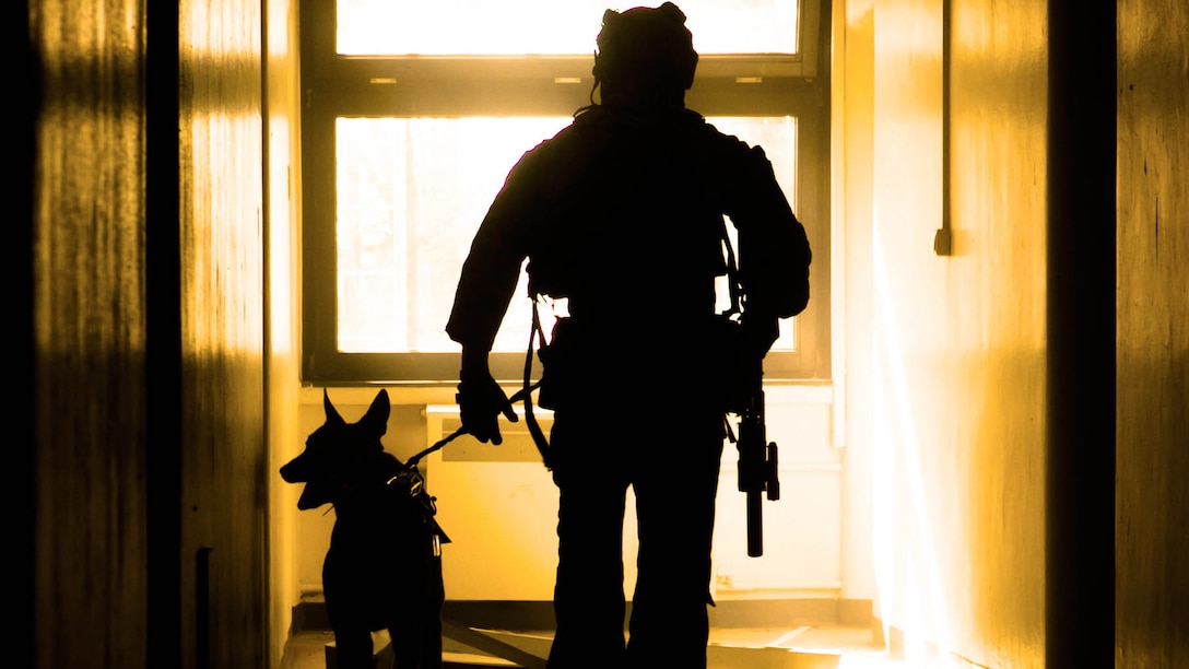 A dog handler with U.S. Army Special Forces clears a building during a close-quarters battle demonstration for Marines with Special-Purpose Marine Air-Ground Task Force Crisis Response-Africa in Baumholder, Germany, March 9, 2015. The use of military dogs is an efficient way to detect hazardous materials and locate individuals within a structure. 