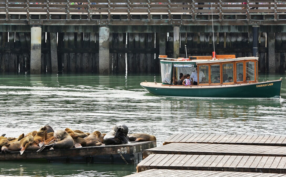 San Francisco Bay is one of the many attractions Marines and Sailors can see or visit by attending the three-day Single Marine Program to San Francisco. The Single Marine Program hosts events and trips to locations such as Big Bear, the Grand Canyon, Las Vegas, San Francisco and others. For more information, please contact 760-725-5288.