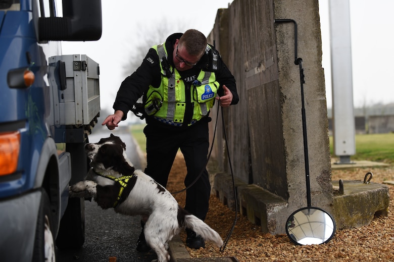 Police Constable Garry Phillips and Explosive Search Dog Benson, both with the Ministry of Defence Police, search a vehicle for explosive devices during a training exercise at RAF Alconbury, England, March 17, 2015. The exercise paired and tested the response of local forces and Airmen from the 423rd Security Forces Squadron. (U.S. Air Force photo by Staff Sgt. Jarad A. Denton/Released)