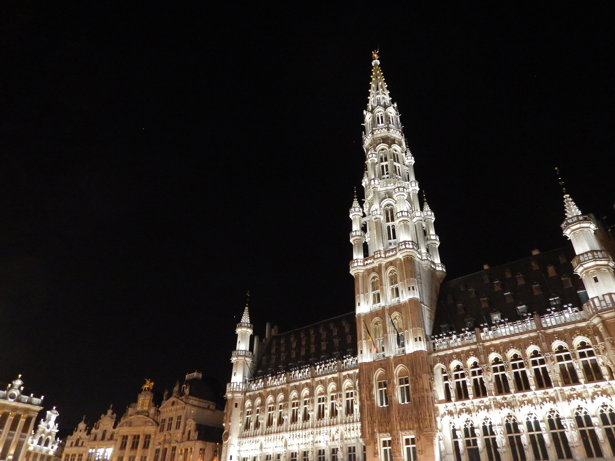 The Grand Place is the central square of Brussels, Belgium, where the city’s town hall and the Museum of the City of Brussels can be found. Every two years in August, several patterns and designs are created with begonia flowers to create a giant “flower carpet.” (U.S. Air Force photo by Senior Airman Matthew Lotz/Released)