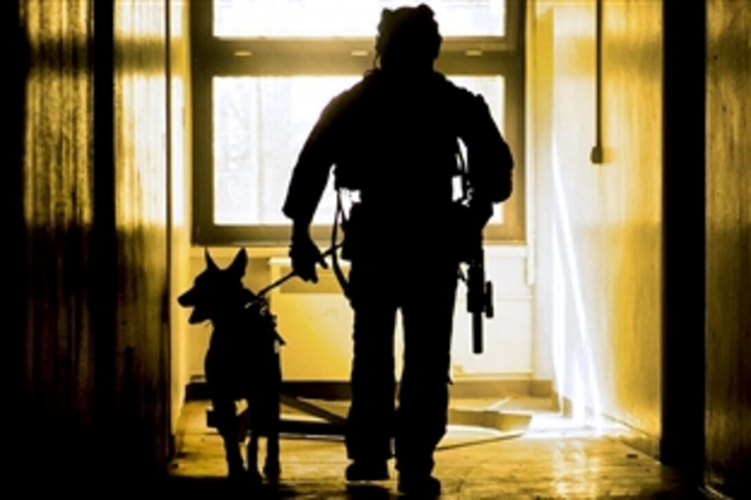 A U.S. soldier clears a building during a battle demonstration for Marines with Special-Purpose Marine Air-Ground Task Force Crisis Response Africa in Baumholder, Germany, March 9, 2015. The use of military dogs is an efficient way to detect hazardous materials and locate individuals within a structure. The soldier is a dog handler assigned to U.S. Army Special Forces.