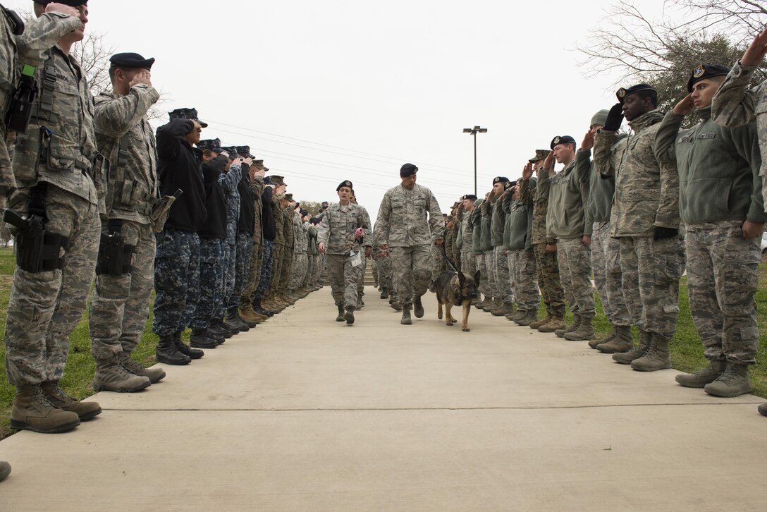 Military members assigned to the 802nd Security Forces Squadron at Joint Base San Antonio-Lackland render a final salute in honor of military working dog Daysi, Feb. 27, at the Holland MWD Hospital. Due to an aggressive cancer and an inoperable malignant tumor, MWD Daysi was euthanized that afternoon. As tradition, a police procession is followed by a final salute to MWDs prior to euthanasia. (U.S. Air Force photo by Airman 1st Class Justine Rho)