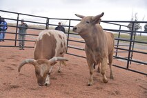 Two young rodeo fans visit take time for a photo while visiting the Professional Bull Riders display at Kirtland March 19. The PBR brought two bulls and LJ Jenkins, one of the PBR cowboys. More than a hundred Team Kirtland members greeted the rider and took pictures with the animals. (Photo by Todd Berenger)