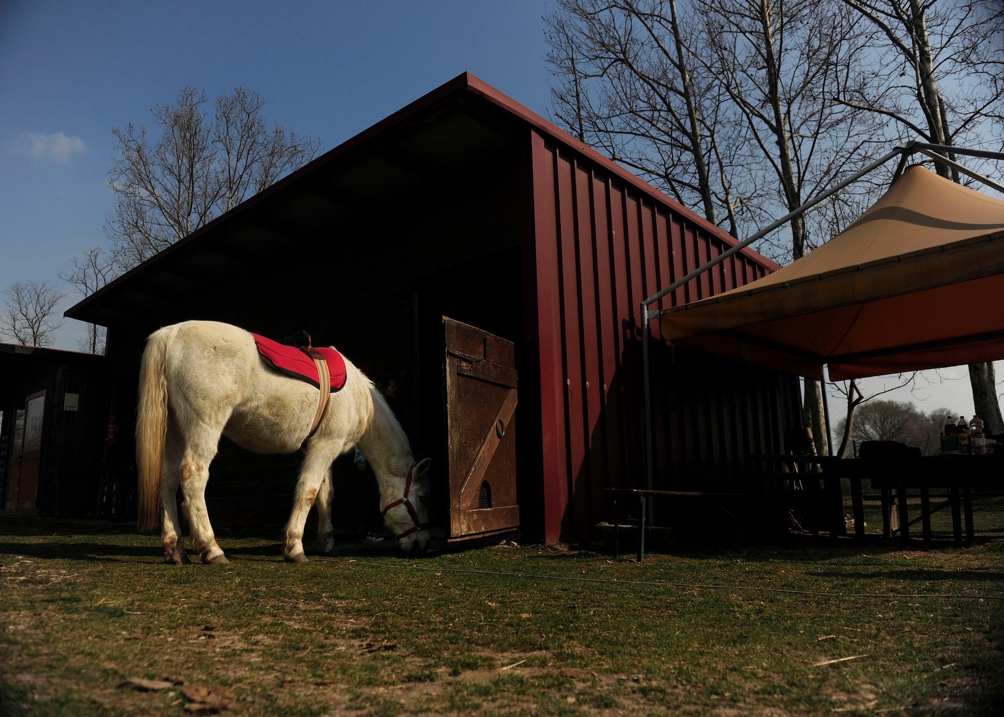 A group of more than 10 Airmen volunteered March 15, 2015 in Porcia, Italy, to help at a local therapeutic horse-riding center. The center helps children, teenagers and adults with motor, cognitive and emotional difficulties through horse therapy. (U.S. Air Force photo by Staff Sgt. Evelyn Chavez/Released)   