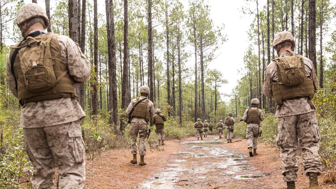 Sailors with 2nd Dental Battalion patrol a road during a counter improvised explosive device course in Holly Ridge, N.C., March 20, 2015. The sailors looked for possible IEDs on and around the dirt road, and then instructors exposed to them the IEDs placed prior to the patrol to give them a better understanding of how devices can be hidden. 