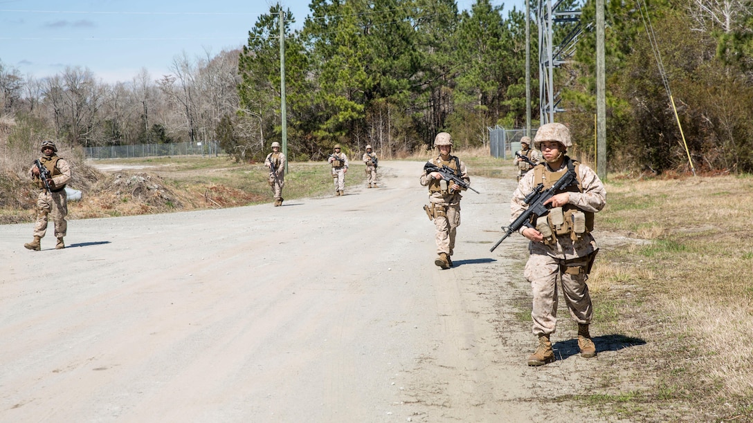 Sailors with 2nd Dental Battalion patrol a road during a counter improvised explosive device course in Holly Ridge, N.C., March 20, 2015. The sailors received classes on patrolling and taking appropriate actions when encountering an IED attack at the beginning of the day and then executed patrolling operations. 