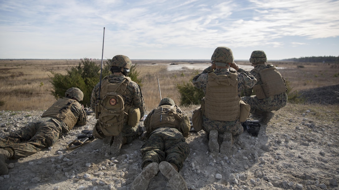 Marines with 2nd Air Naval Gunfire Liaison Company, II Marine Expeditionary Force Headquarters Group, overlook their impact zone and conduct call for fire drills during an exercise aboard Camp Lejeune, N.C., March 17, 2015. This training was to ensure the Marines knew what their tasks were when given the objectives to conduct a patrol, process targets through calls for fire and to make fire plans. (U.S. Marine Corps photo by Cpl. Justin T. Updegraff/Released)