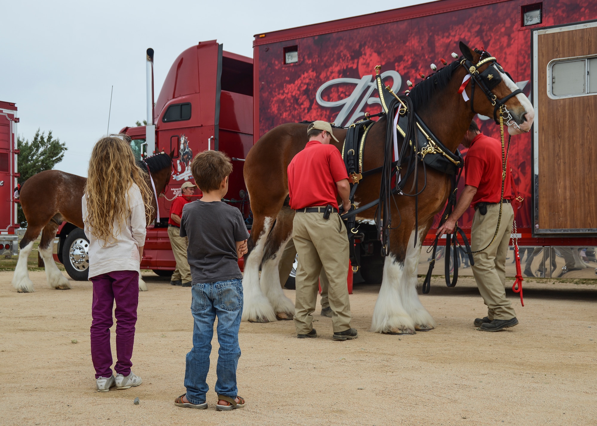 Families gathered to watch as each of the Budweiser Clydesdales was hitched to a 1903 Studebaker wagon. The Clydesdales are bay with a white blaze down their nose, a black mane and tail, and white legs with fetlock hair. They are usually six-feet tall at the shoulders and close to 2,000 pounds. (U.S. Air Force photo by Rebecca Amber)