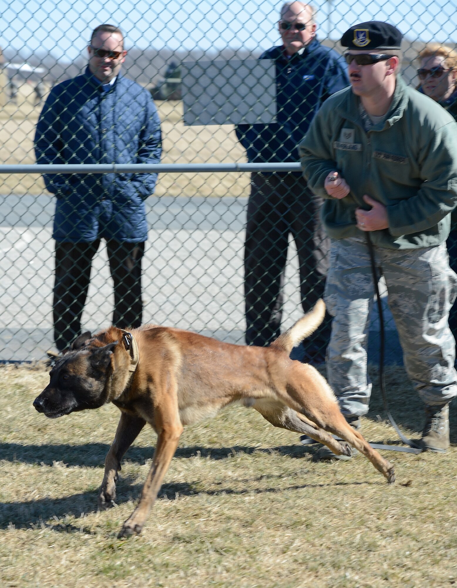 A military working dog is captured with all four feet off the ground as he sprints toward a fleeing suspect during a capabilities demonstration for the 2015 Honorary Commanders March 18, 2015, on Dover Air Force Base, Del. The honorary commanders took part in a tour of the 436th Mission Support Group to better understand the Group's mission and how the subordinate squadrons execute it. (U.S. Air Force photo/Greg L. Davis)